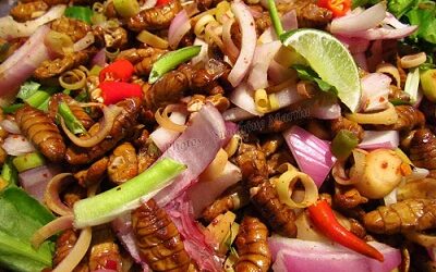 Manger fun : acheter des insectes