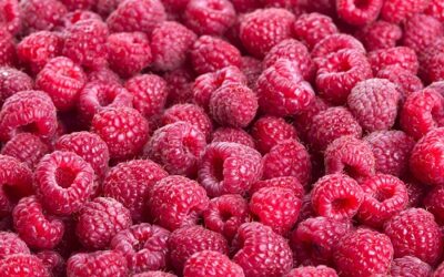 Les interactions du raspberry ketone avec les autres médicaments